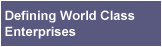 Defining World Class Enterprises
